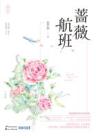 薔薇航班小说封面