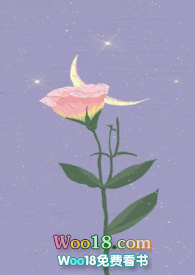 月亮与玫瑰小说封面