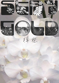 Stay Gold小说封面