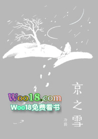 京之雪小说封面
