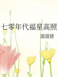 七零年代福星高照小說封面